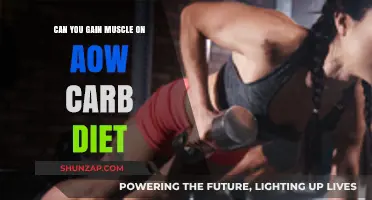 Building Muscle on Low Carb: Fact or Fitness Myth?
