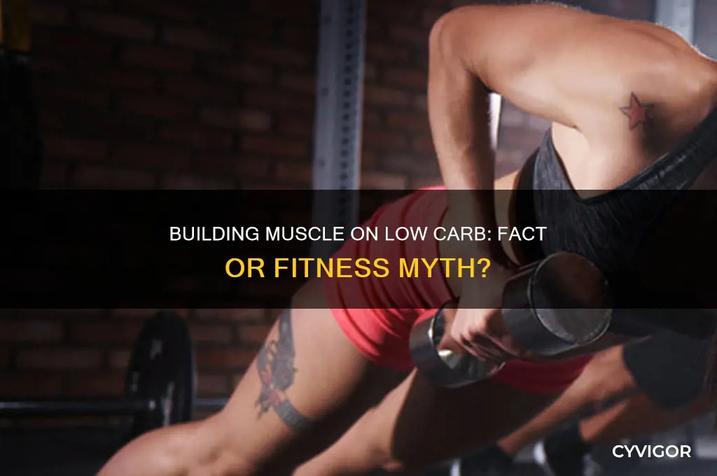 can you gain muscle on aow carb diet