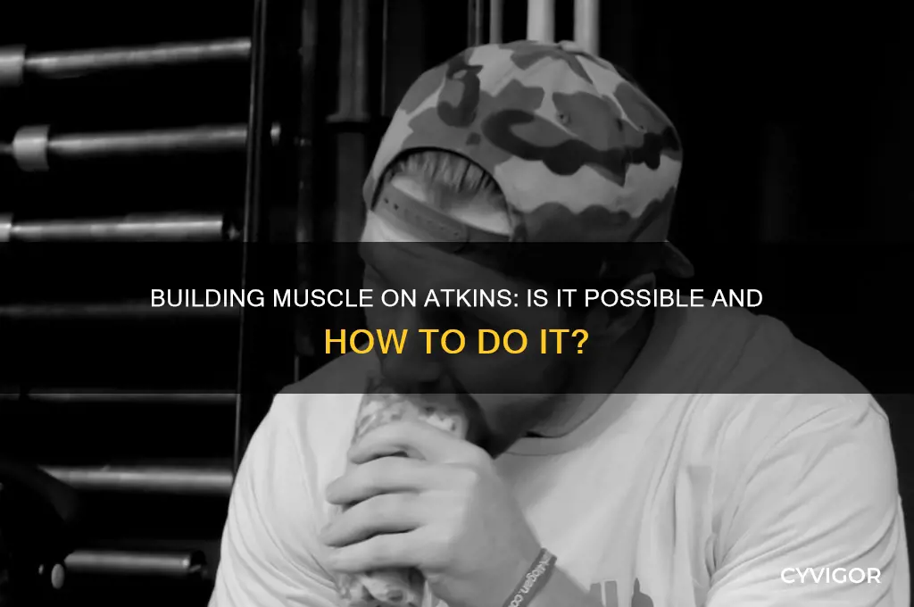can you gain muscle on atkins