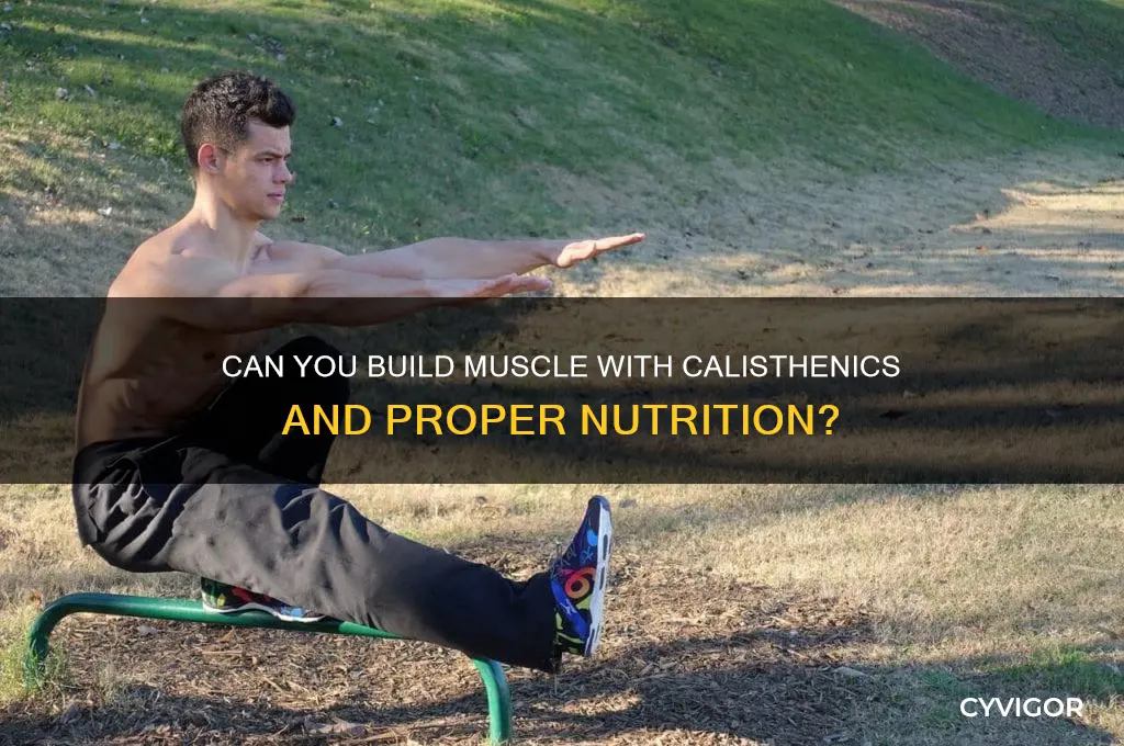 can you gain muscle on calksthenjcs if u eat