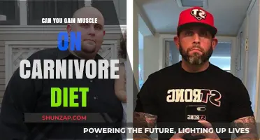 Carnivore Diet and Muscle Gain: Fact or Fiction?