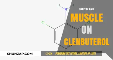 Can Clenbuterol Help Build Muscle? Facts and Myths Explained
