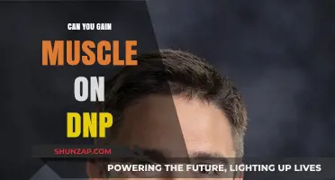 Can You Safely Build Muscle While Using DNP? Facts Revealed