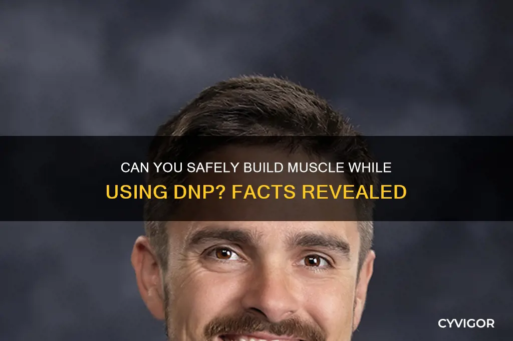 can you gain muscle on dnp