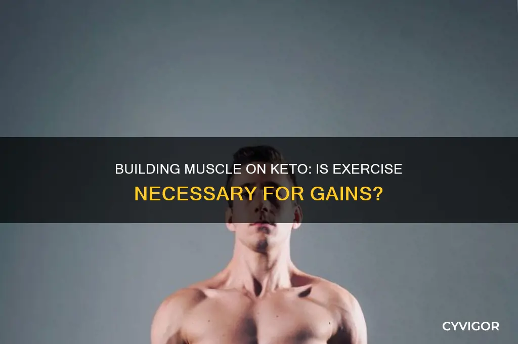 can you gain muscle on keto without exercise