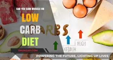 Building Muscle on Low Carb: Fact or Fitness Myth?