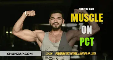 Building Muscle During PCT: Strategies for Strength and Recovery