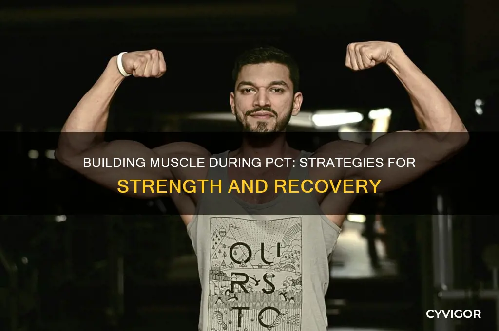 can you gain muscle on pct