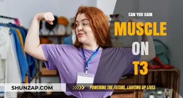 Can You Build Muscle on T3? Facts and Myths Explained