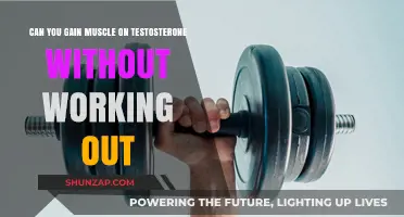Muscle Growth on Testosterone: Is Exercise Necessary for Results?
