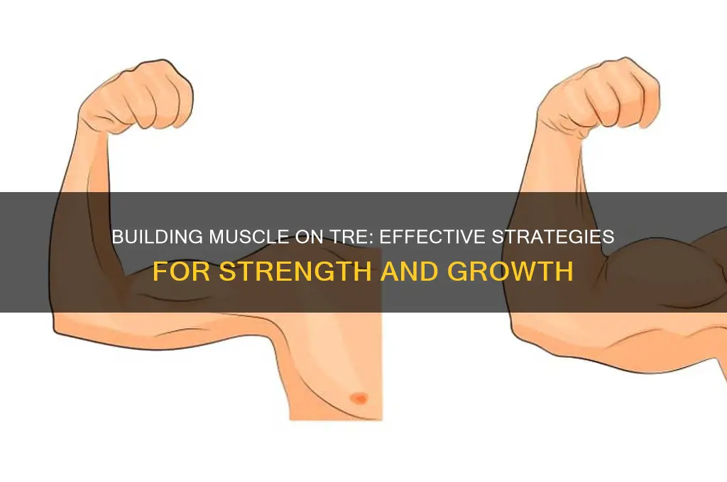 can you gain muscle on tre