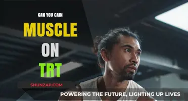 Building Muscle on TRT: What You Need to Know