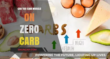 Building Muscle on a Zero-Carb Diet: Is It Possible?