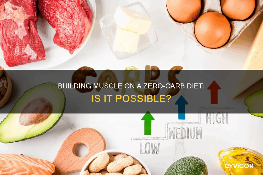 can you gain muscle on zero carb