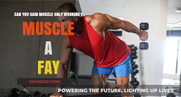 Can You Build Muscle Effectively by Training One Muscle Daily?