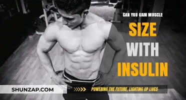 Muscle Growth and Insulin: Can Hormone Use Increase Size?