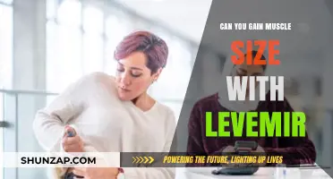 Levemir and Muscle Growth: Can This Insulin Aid Size Gains?
