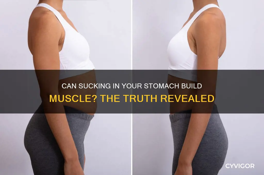 can you gain muscle sucking in