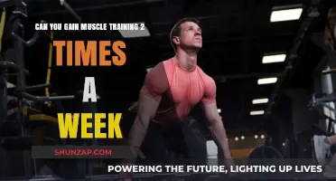 Building Muscle: Is Training Twice Weekly Enough for Results?