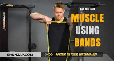 Can Resistance Bands Build Muscle? Unlocking Strength Training Potential