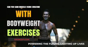 Creatine and Bodyweight Training: Can You Build Muscle Effectively?