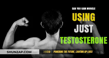 Muscle Growth on Testosterone Alone: Fact or Fiction?