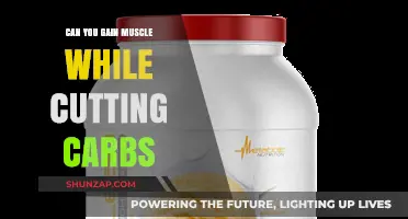 Muscle Gain on Low-Carb Diets: Fact or Fitness Myth?