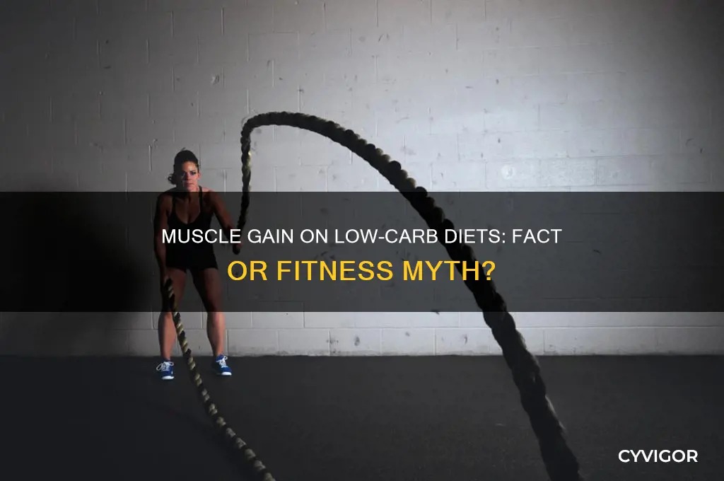 can you gain muscle while cutting carbs