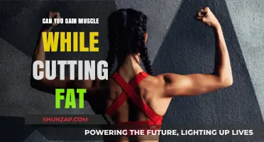 Muscle Gain During Fat Loss: Achievable or Myth?