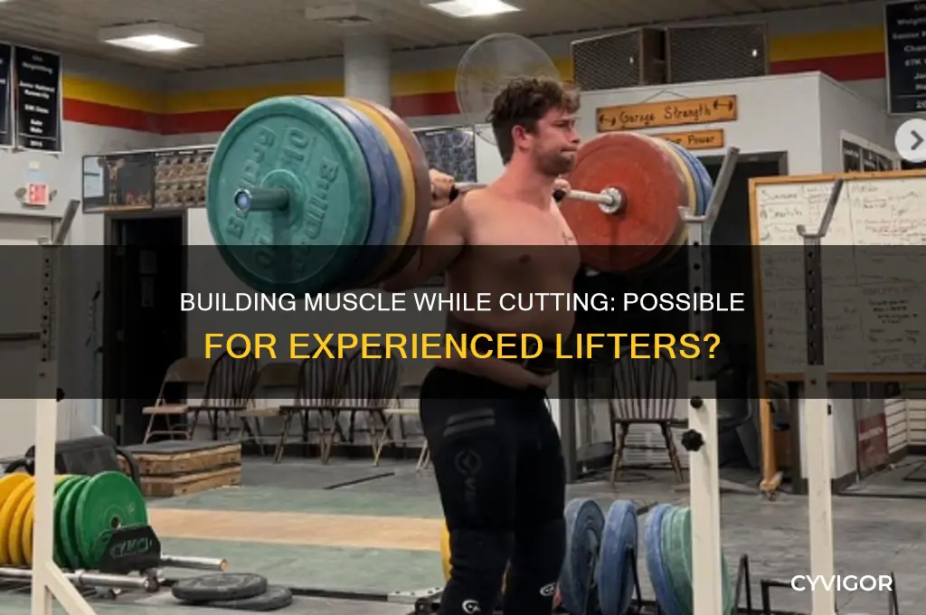 can you gain muscle while cutting if youve lifted before