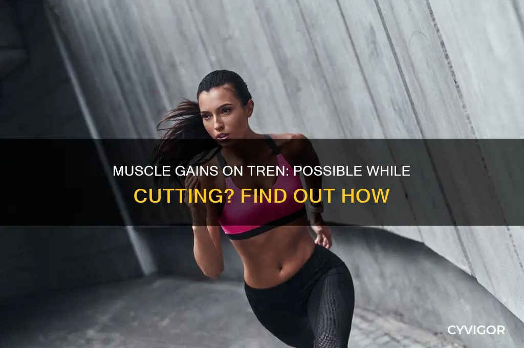 can you gain muscle while cutting on tren