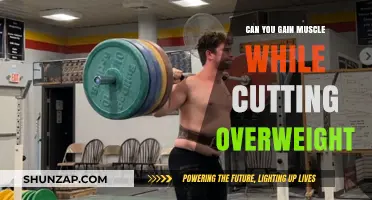 Muscle Gain During Cutting: Shedding Fat While Building Strength