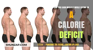 Can You Build Muscle While Eating in a Calorie Deficit?