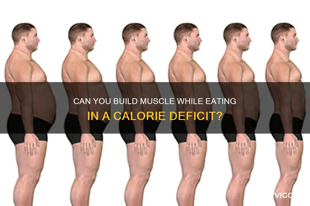 can you gain muscle while eating in a calorie deficit