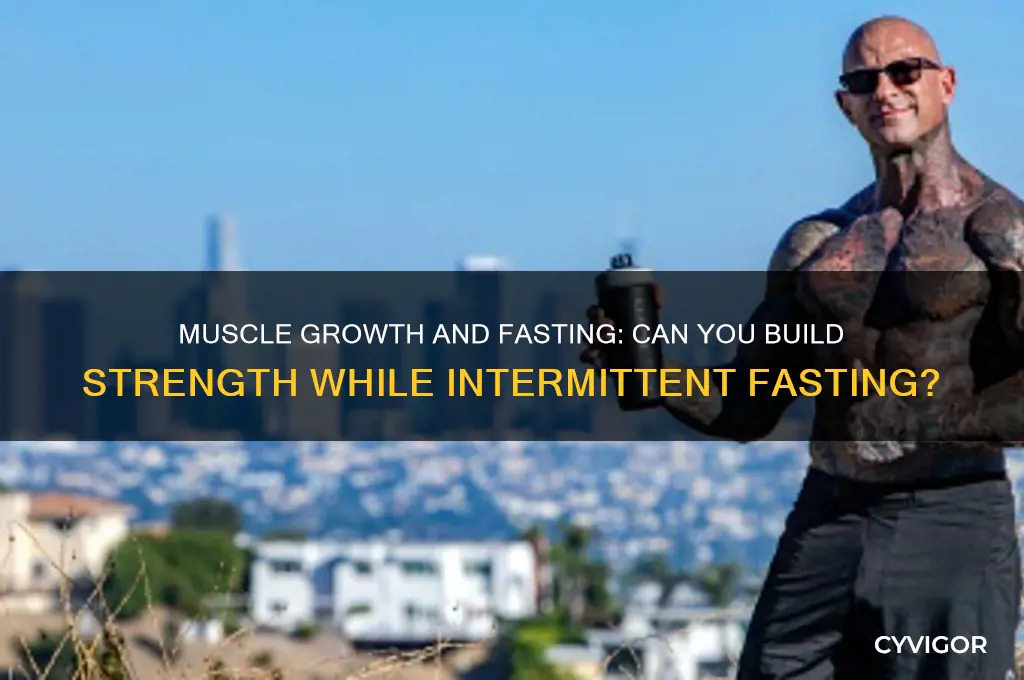 can you gain muscle while fasting