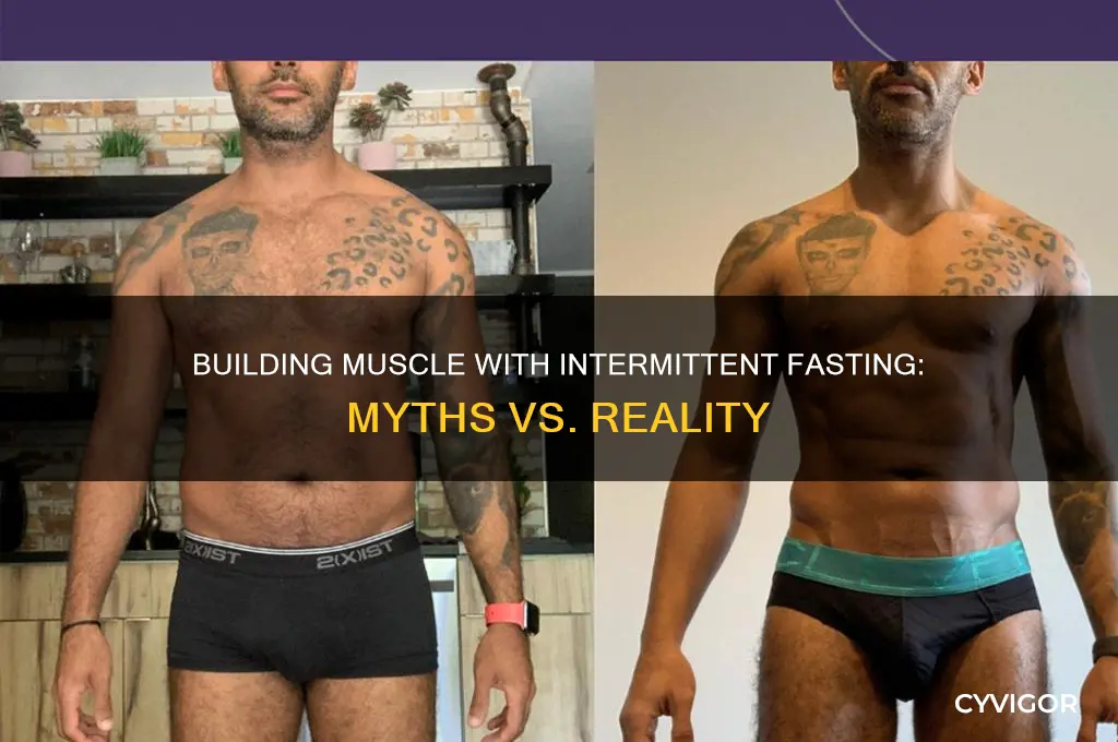 can you gain muscle while intermitent fasting