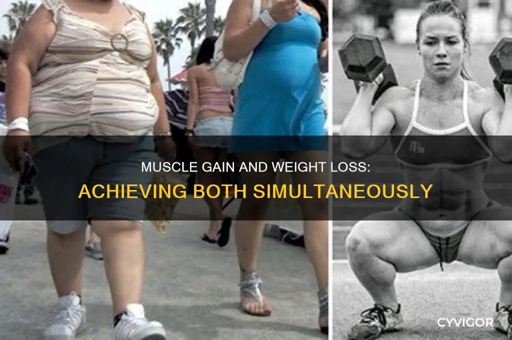 can you gain muscle while losing weight