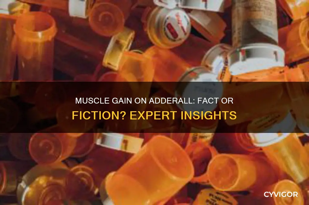 can you gain muscle while on adderall