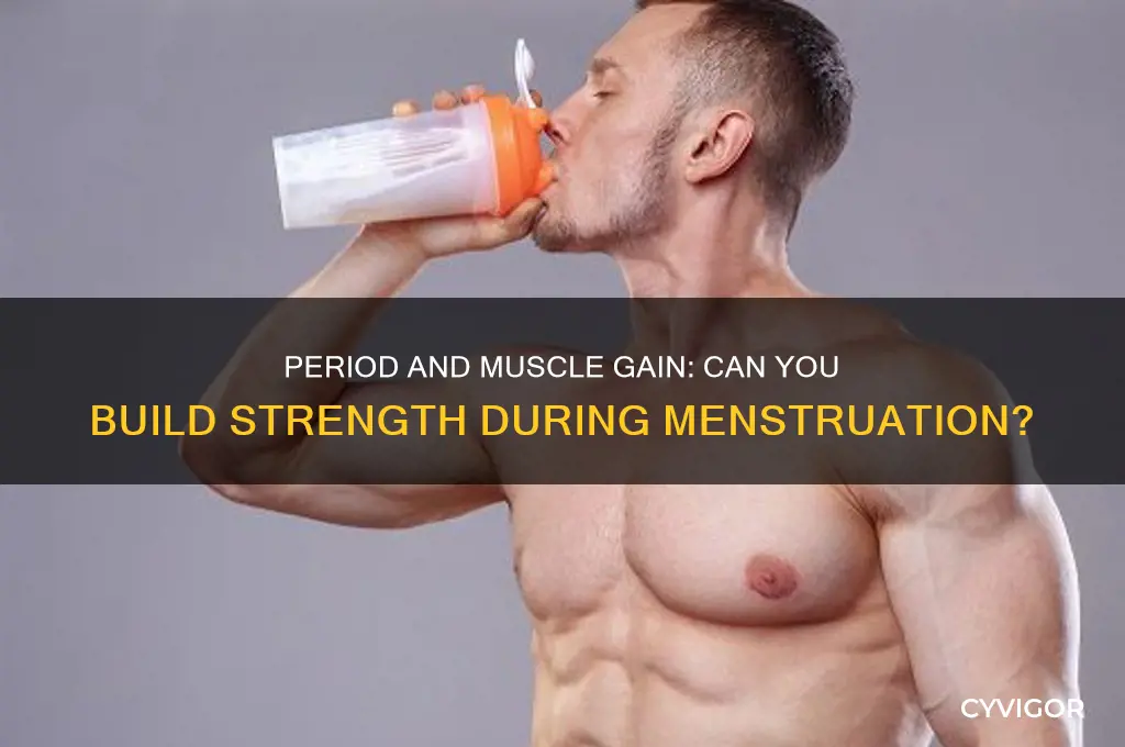 can you gain muscle while on your period