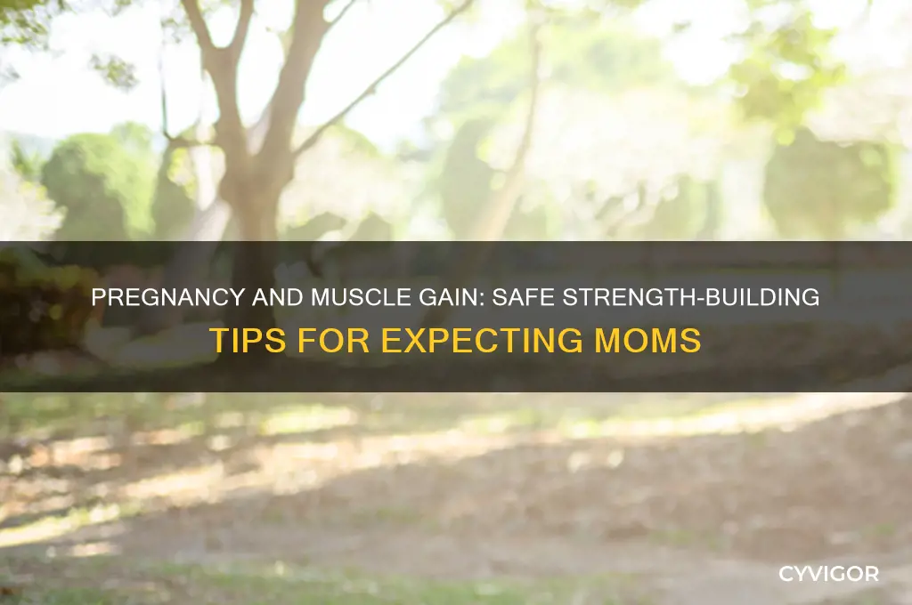 can you gain muscle while pregnant