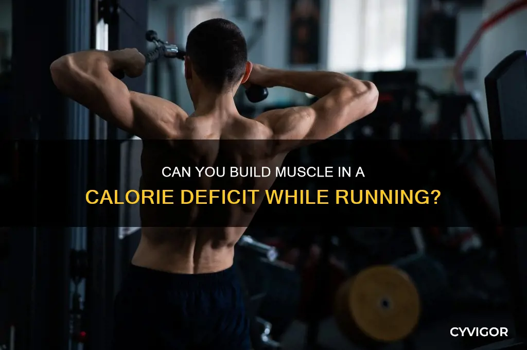 can you gain muscle while running a calorie deficit