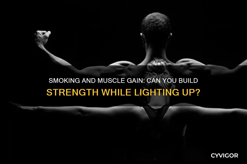 can you gain muscle while smoking