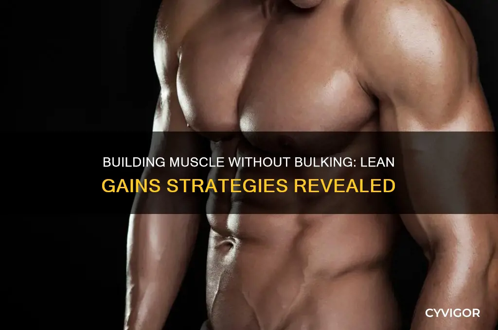 can you gain muscle witbout bulking