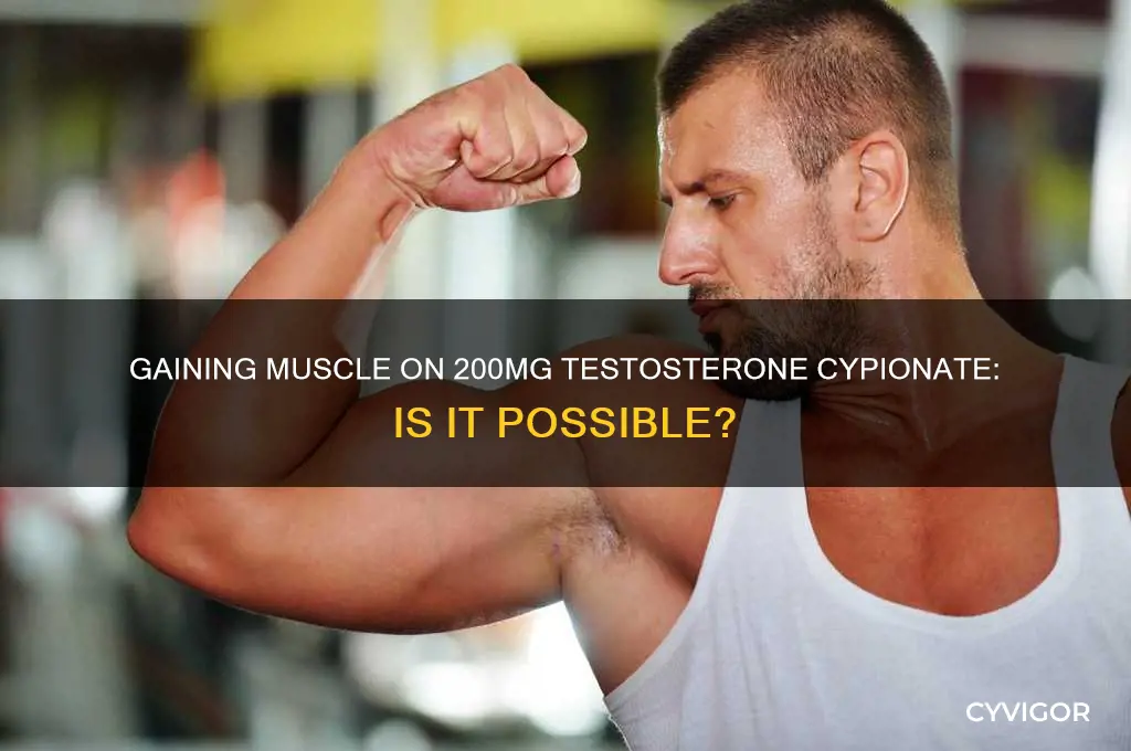can you gain muscle with 200 mg of testosterone cypionate