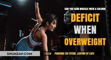 Can Overweight Individuals Build Muscle in a Caloric Deficit?