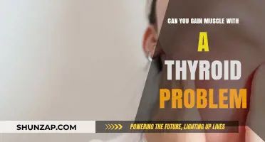 Building Muscle with Thyroid Issues: Challenges, Strategies, and Success Tips