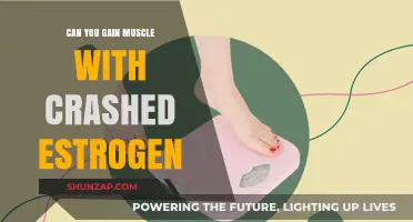Muscle Gain with Low Estrogen: Fact or Fiction?