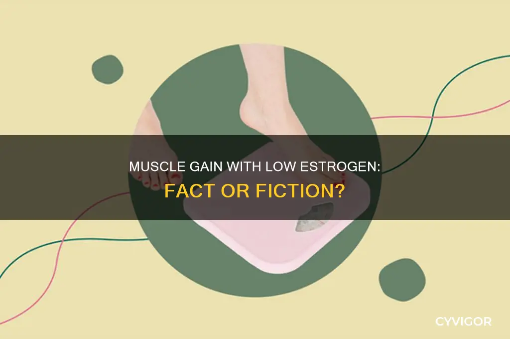 can you gain muscle with crashed estrogen
