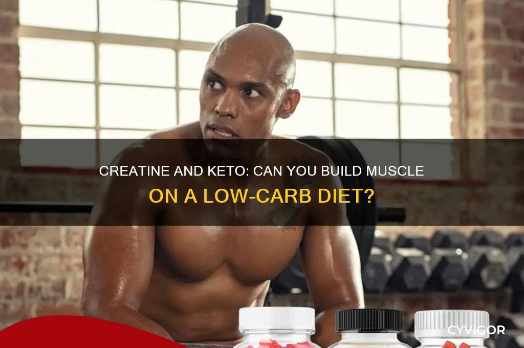 can you gain muscle with creatine on keto