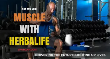 Can Herbalife Help You Build Muscle? A Comprehensive Review